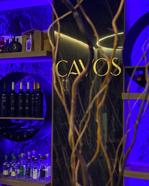 CAVOS EDINGEN GERMANY